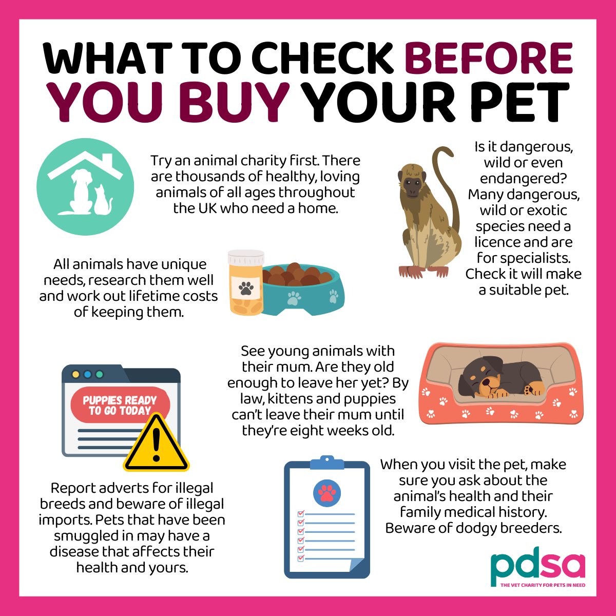 Would you know what to check before buying your pet? ⚠️ There are some steps to take and important checks to carry out before you make any impulse decisions 👇 Find out more here: pdsa.me/bZWP #PetsAdvertisingAdvisoryGroup #Pets