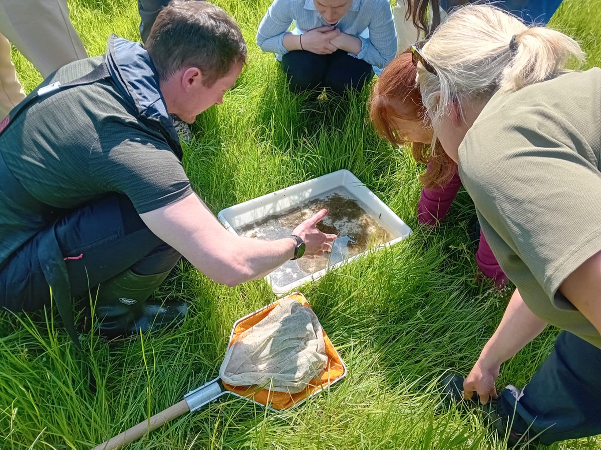 Habitat restoration in the Boyne Catchment!

Huge thanks to Maureen Byrne and Robert Bergin of Inland Fisheries Ireland for joining up with me today to facilitate a water themed #BiodiversityWeek event in Dalgan Park. Was great to get into the Skane and chat #WaterQuality too!💦