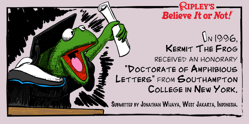 Who said frogs can't be scholars? Kermit the Frog hopped away with a Doctorate of Amphibious Letters in 1996! 🐸🎓 Catch our daily cartoon 👉 ripleys.com/cartoons