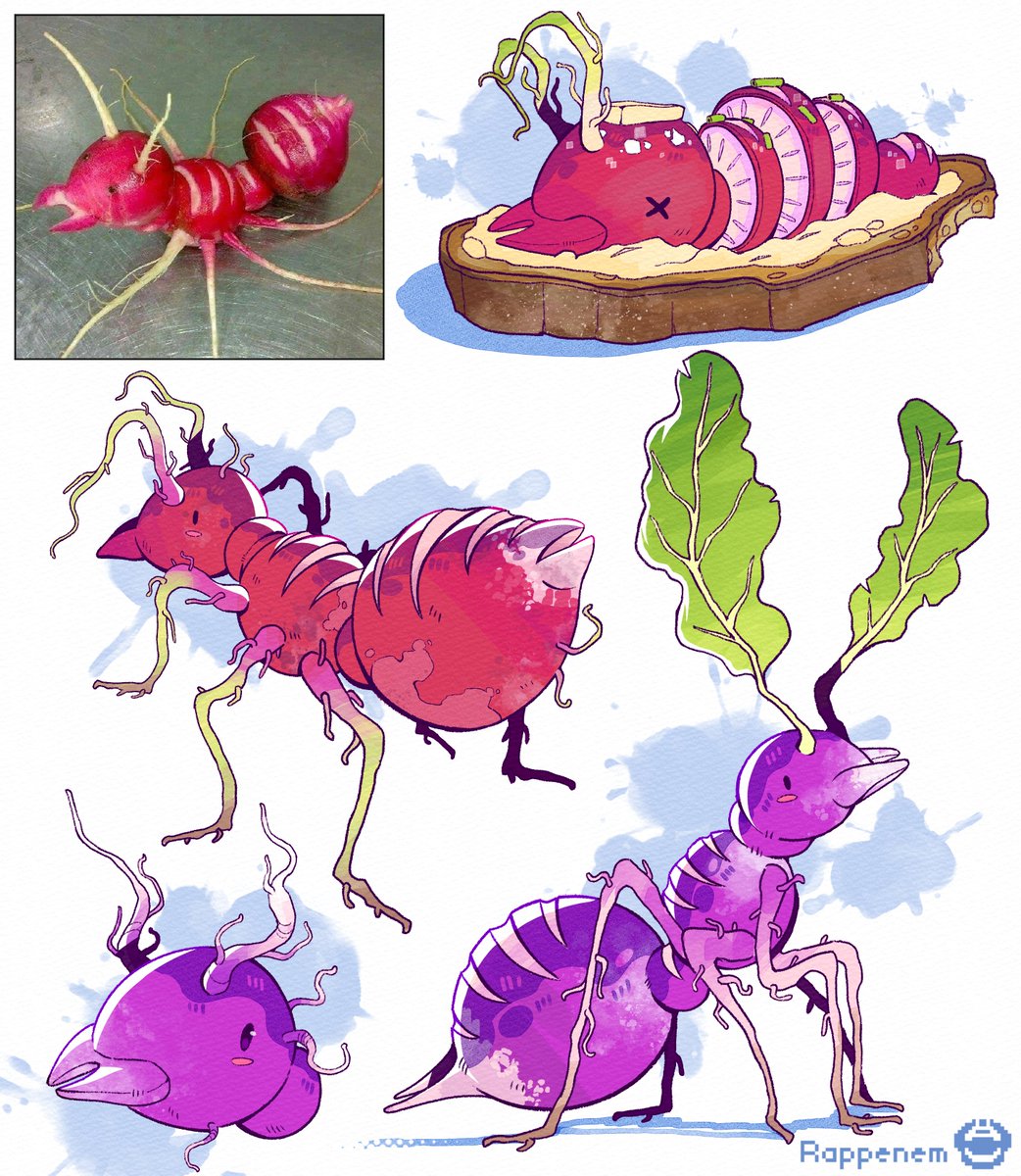 Rappenem's tweet photo. Radish ant https://t.co/SZdcn0RYop
