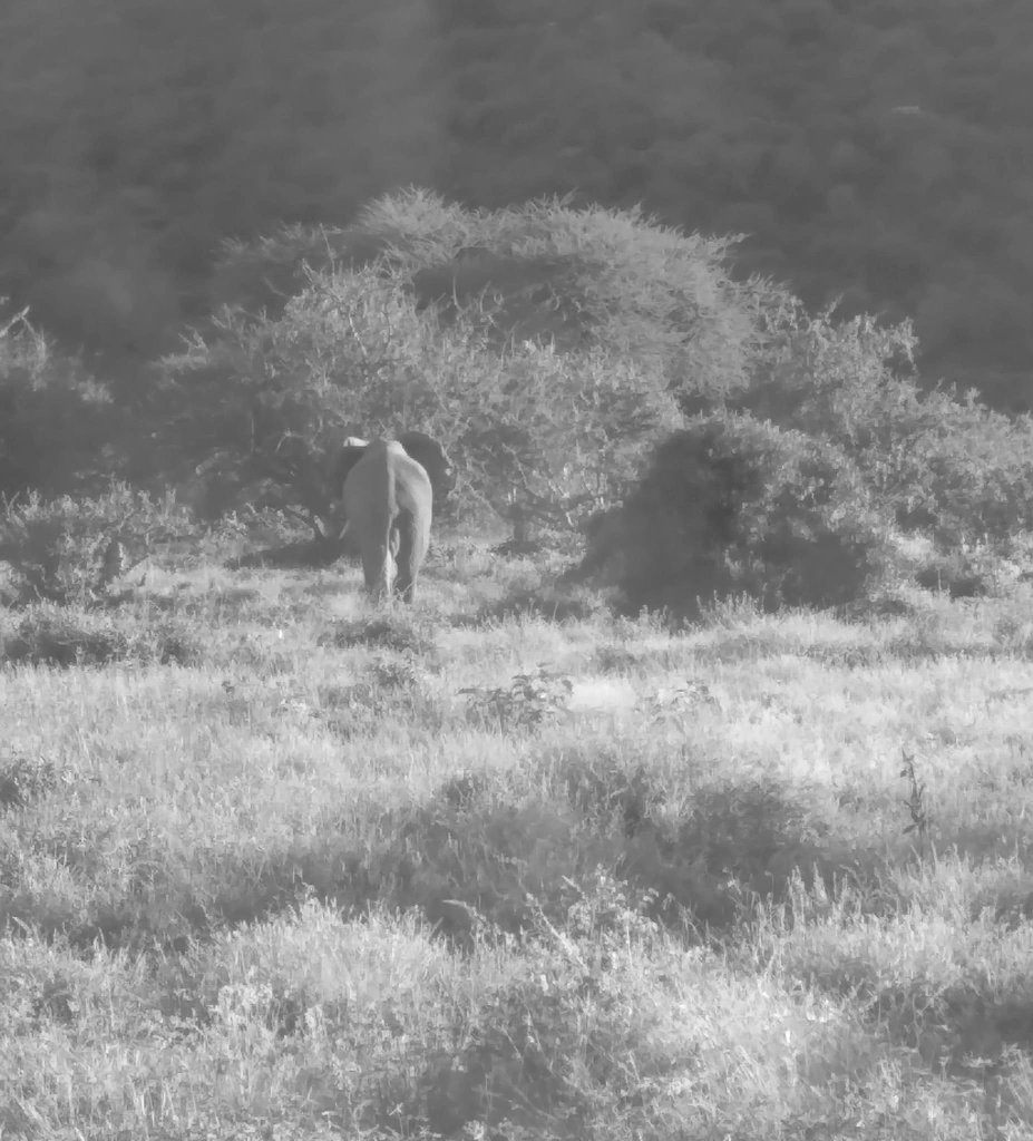 We head back home albeit empty handed. See you again next season. It's been a pleasure.