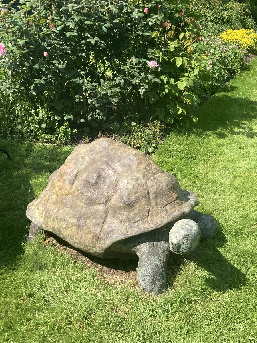 Stunning gardens at Ham Open Gardens this afternoon, raising much needed funds for <a href="/homestart_rkh/">Home-Start Richmond, Kingston & Hounslow</a> and <a href="/HamPetershamSOS/">Ham & Petersham SOS</a>. Thank you so much to the garden owners, organisers and volunteers 🌷🌸🌹