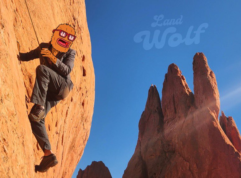 Landwolf tweet media