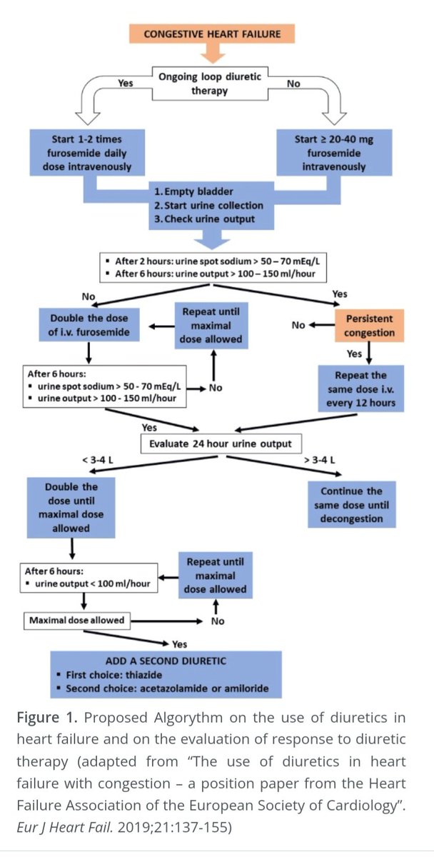 🔴 Which is the best strategy for using diuretics in decompensated chronic heart failure? #openaccess #Review

oatext.com/which-is-the-b…
  #cardiology #CardioEd #CardioTwitter #Cardiogen #CVD #medtwitter #internalmedicine #hospitalist #meded #Medtwitter #Review #MedEd #nephrology