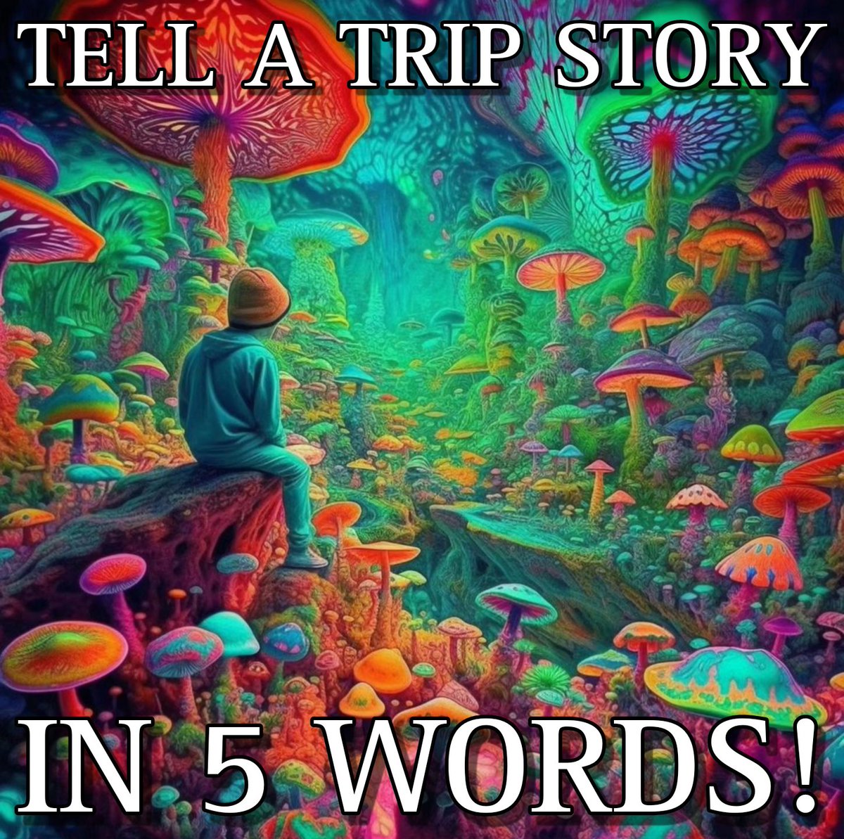 Tell me a trip story in 5 words! 👇
