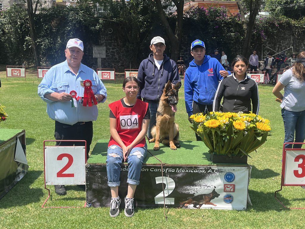 fcm_epam's tweet photo. Podio de ganadores de la categoría de 3 a 6 meses hembras selección del Sr Juez Juan Carlos Ruales de Ecuador https://t.co/HWQfNd3GPm