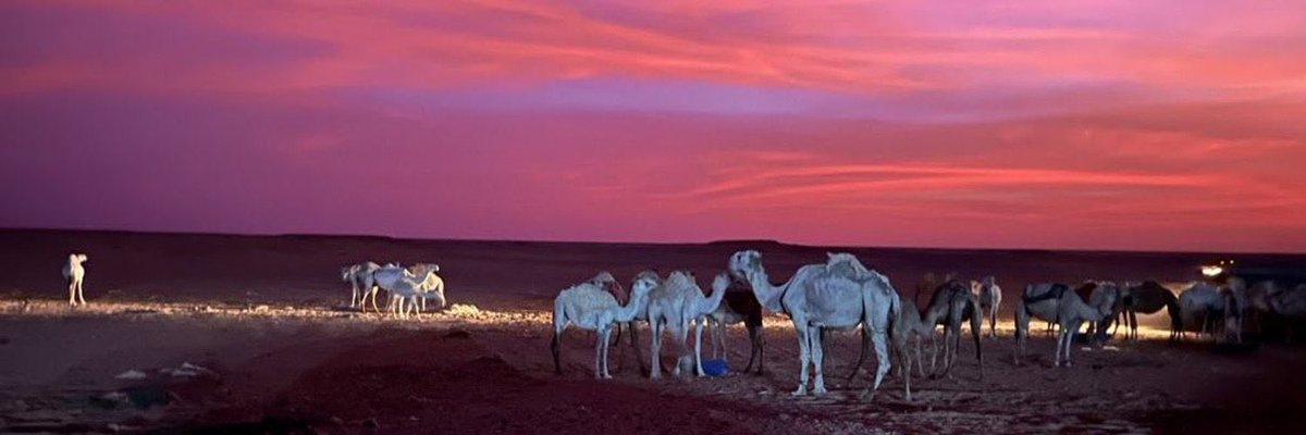 1iiv___'s tweet photo. « المنظر خلاّب يبهج القلب والروح » https://t.co/6KNTOmLp0p