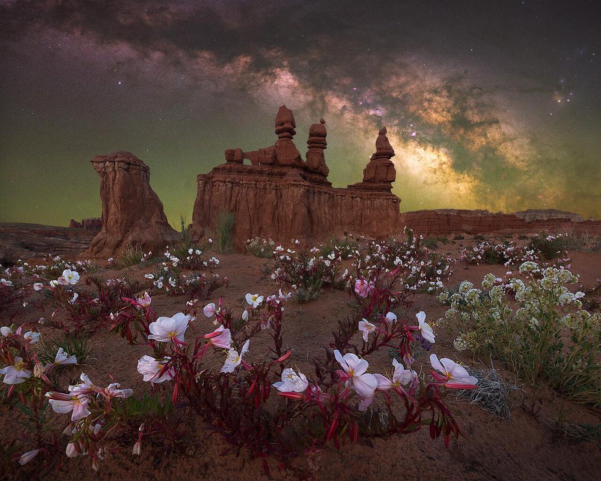 Enjoy #OurEarthPorn! (Steal This Hashtag for your own and join the community of Nature Addicts! ) Wildflowers blooming under the night sky in Goblin Valley, Utah [OC] [1500x1200] Photo Credit: mrcnzajac .