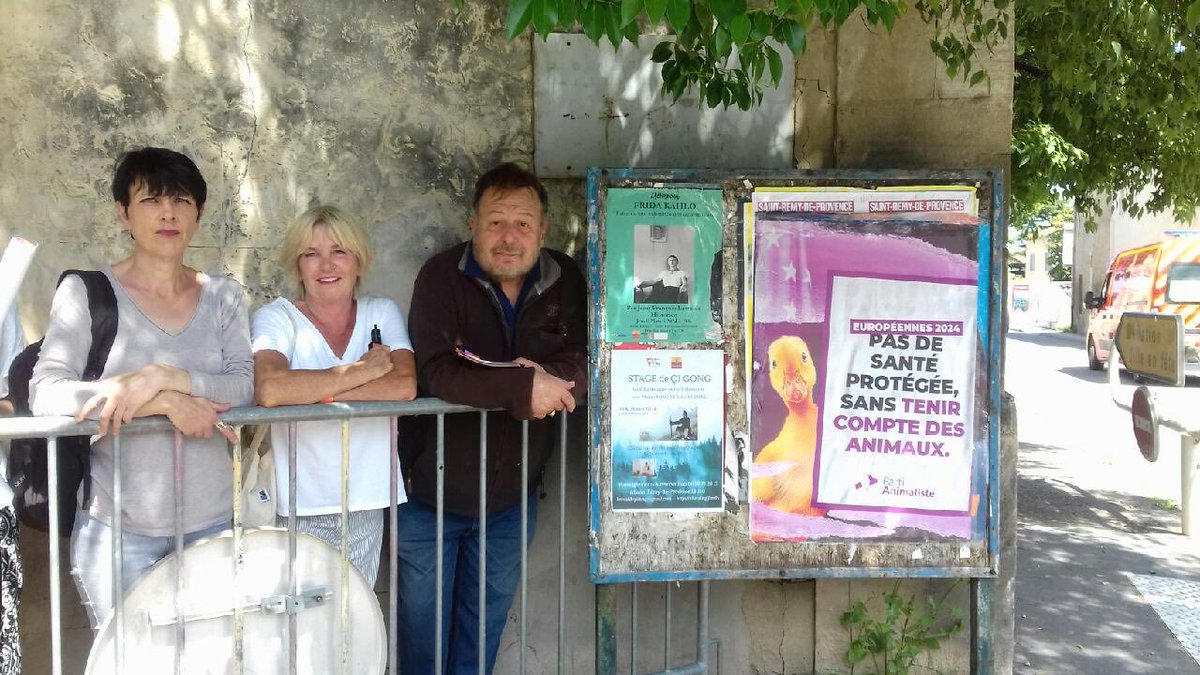 #ElectionsEuropéennes Collage affiches @PartiAnimaliste Saint-Rémy, en respectant celles déjà en place et d’actualité, sans les recouvrir. Avec Sophie Roussi-Planché conseillère municipale animaux, Estelle et Myriam militantes et @Mainville3Marie candidate