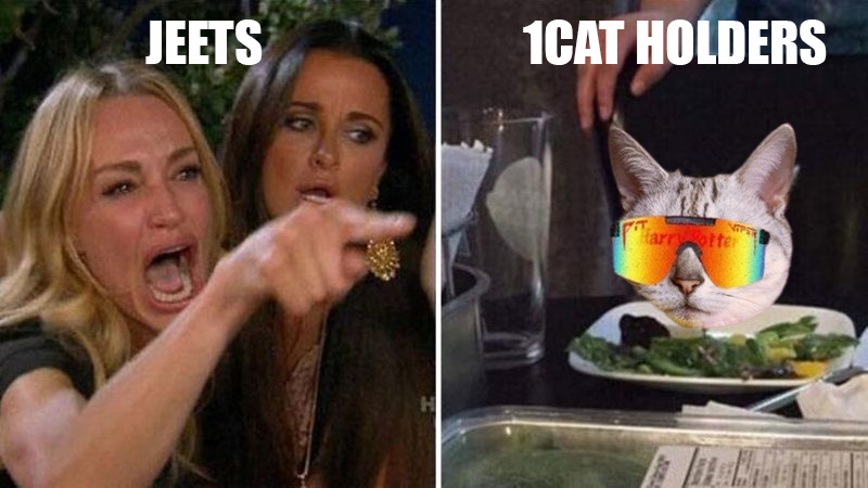 Jeets will cry when the no.1 cat on solana will reach ath again 😉