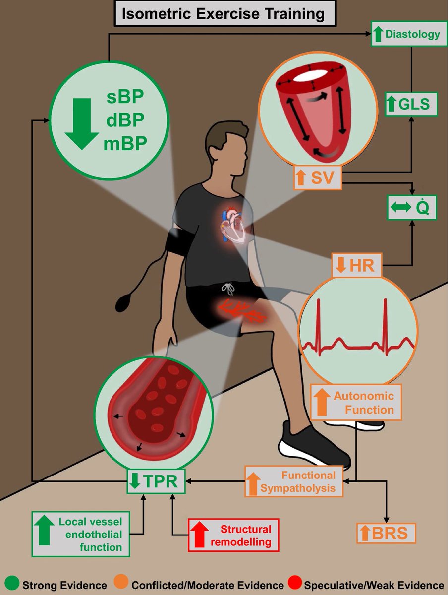 Isometric Exercise Training and Arterial Hypertension: An Updated Review…
link.springer.com/article/10.100…
