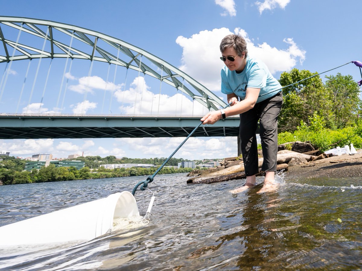 Congratulations to Prof. Emily Elliott on being elected a fellow of the Ecological Society of America! 🌿 pitt.ly/3V32och