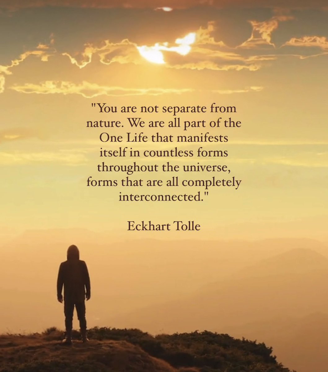 Wisdom by Eckhart Tolle. #nature #awareness #insight