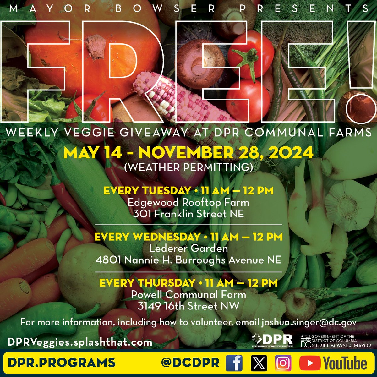 Fresh veggie giveaways are back🥕🥦🫛 Every Tuesday, Wednesday, and Thursday, you can pick up fresh produce at no cost at select @DCDPR communal farms. Learn more and get your veggies ➡️dprveggies.splashthat.com