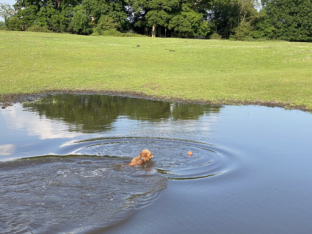 ExploraNeedham's tweet image. 