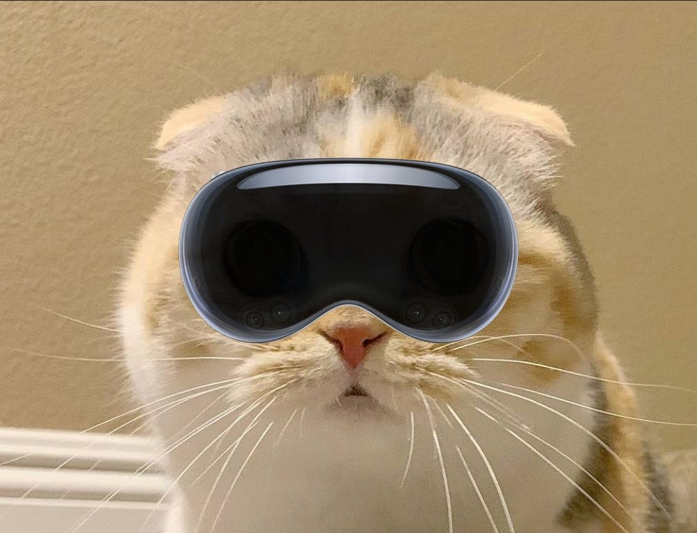 I can see potato cat in 4D now
