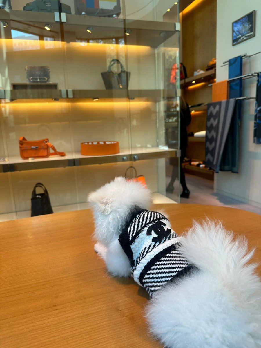 Vi72148093's tweet photo. I went shopping and bought a Hermes handbag. Only $28,000 https://t.co/Og3pTsjdsC