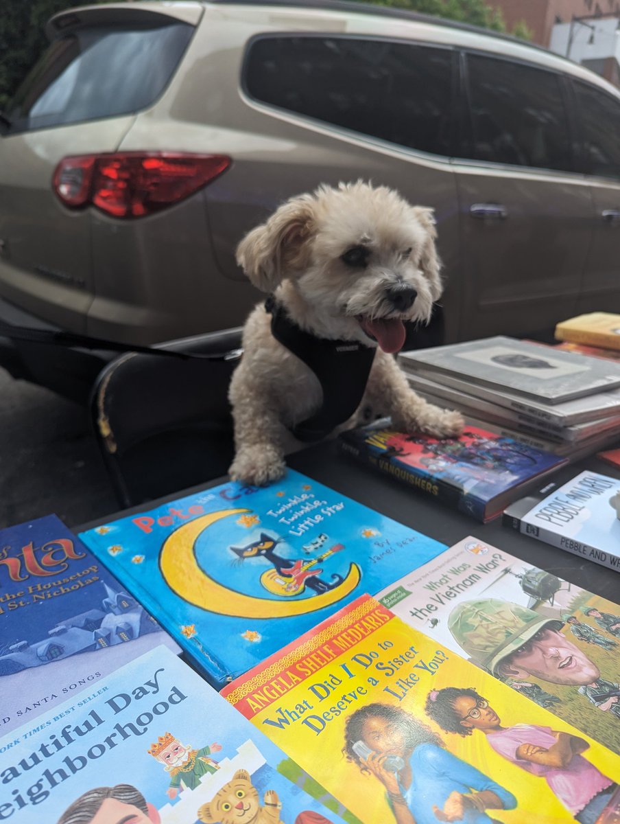 Bernie the Street Librarian