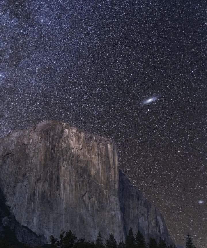 Domenico tweet media