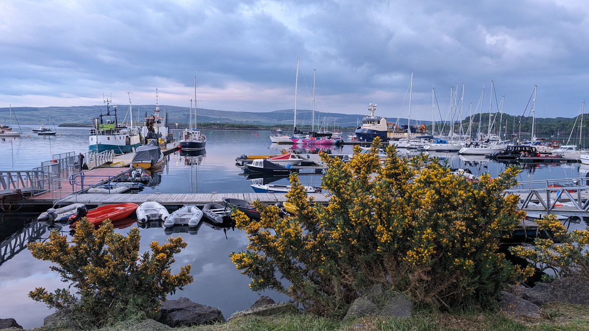 Cracking few days on Isle of Mull 😎😎 #OutAndAboutScotland