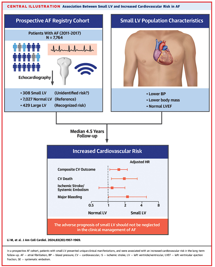 Other people will do imaging will see patients with small left ventricles and wonder about the risk. In this cohort study of patients with AF, a small left ventricle conferred additional risk over patients with normal dimensions.  jacc.org/doi/10.1016/j.…