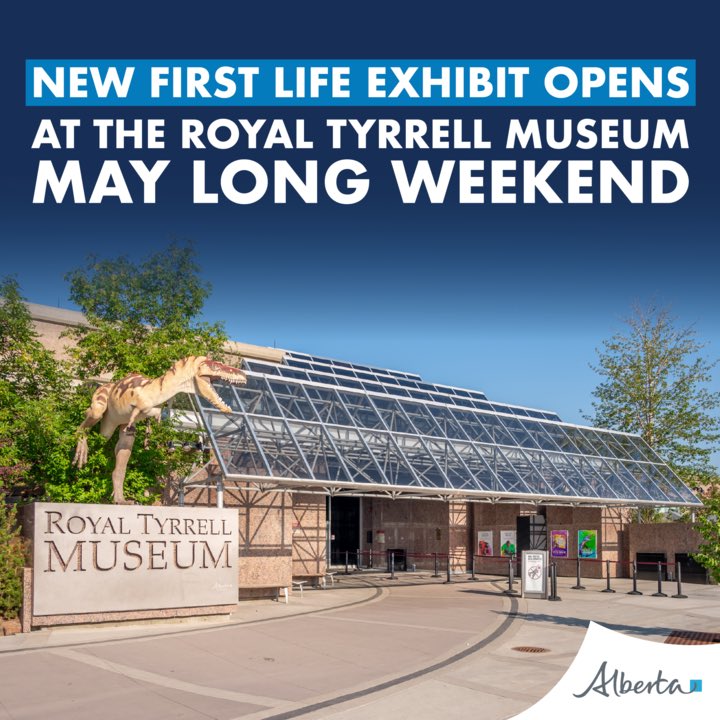 The First Life exhibit at the Royal Tyrrell Museum’s newly redeveloped gallery will open on Friday May 17, just in time for the long weekend! 🦖 The new exhibit explores the evolution of the earliest life on Earth, from microbes to multi-cellular animals, and features recently