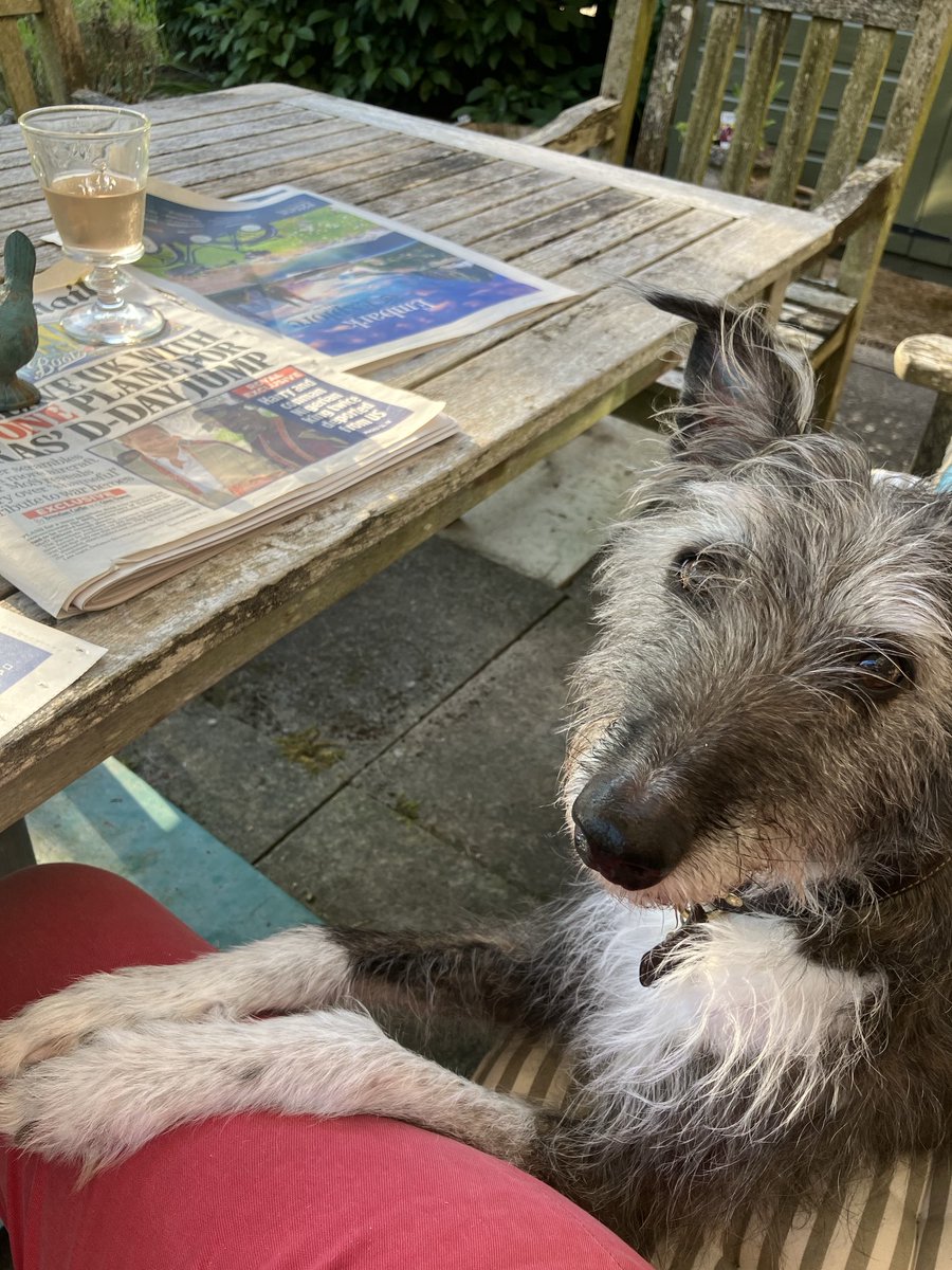 Her Ladyship knows how to ask politely for salted nuts 🥜🍾😂😂#cocktailhour👇