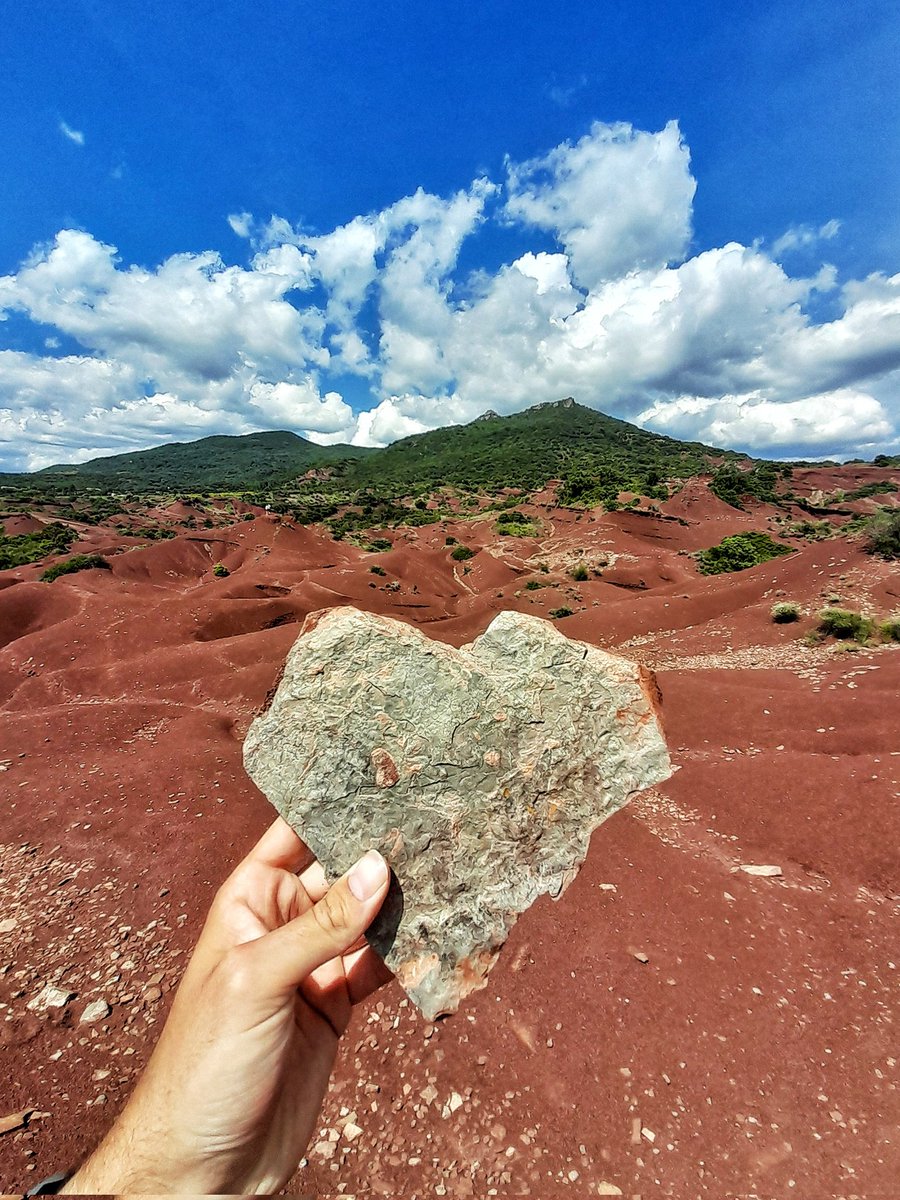Arthur Lansonneur 🧡📸🚴‍♂️💙 tweet media