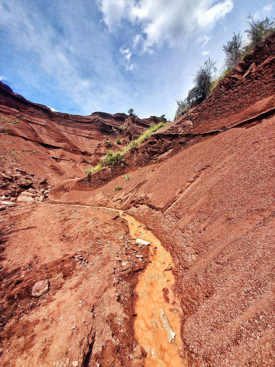 Arthur Lansonneur 🧡📸🚴‍♂️💙 tweet media