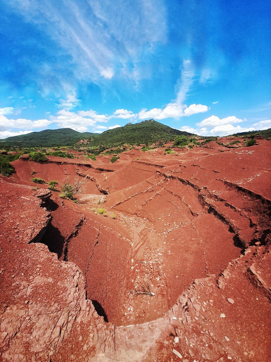 Arthur Lansonneur 🧡📸🚴‍♂️💙 tweet media