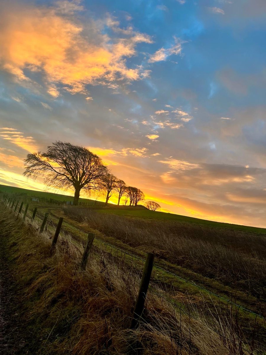 Sunsets, sunrises, the sun - never tire of our views as we move about on the farm.

#GoRural #ScottishAgritourismMonth #Tinyhomeborders #openspaces