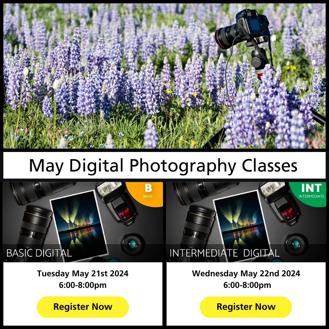 There's still time to register for May Digital Photography Classes at Bergen County Camera!

Register now: eventbrite.com/o/bergen-count…

#bergencountycamera #photography #shoplocal #bergencounty #nikon #canon #bestofnewjersey #njphotographers #supportsmallbusiness