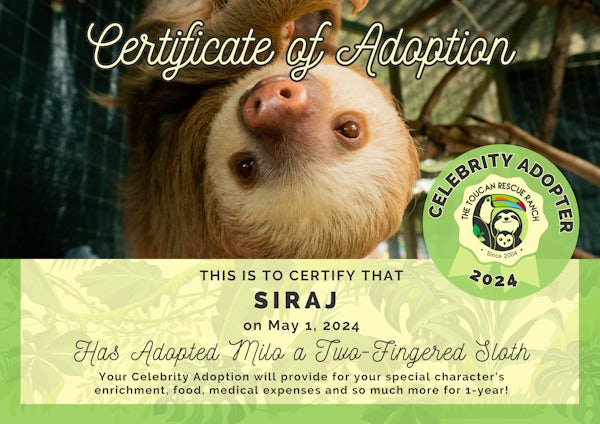 🌟CELEBRITY ADOPTION!🌟

🌺Happy #SlothSunday! We wanted to shout-out another awesome Celebrity Adopter! Thanks so much to Siraj for adopting Milo, the two-fingered sloth!

💌For more information on our Symbolic Adoption Program, visit our website: bit.ly/TRRAdoptions