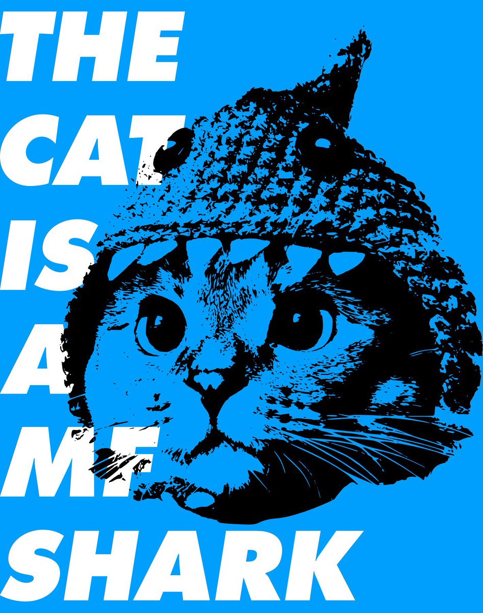 believe in somefin

$SC