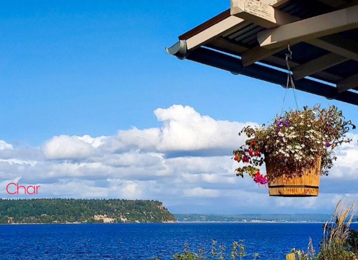 FLOWERS FOR YOU
Peace and Serenity
for a beautiful day
💐🥀🥀🪴🥀🥀💐
#Flowers #FlowerBasket #Sea
#Peace #Simplicity #Serenity