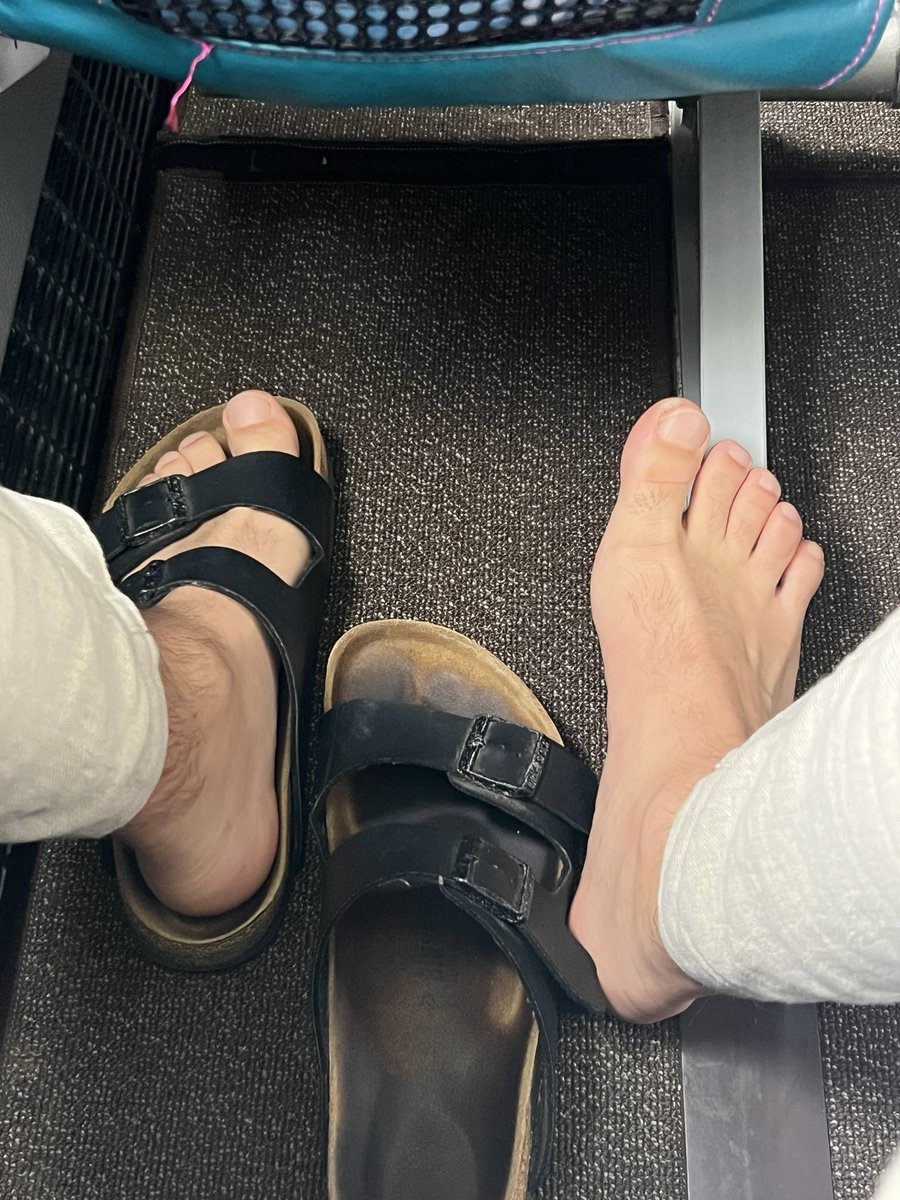 Quick flight to a neighboring island, my life is pure luxury. Whose serving my by stinky feet today? 🤑🤑🤑 linktr.ee/island_alpha