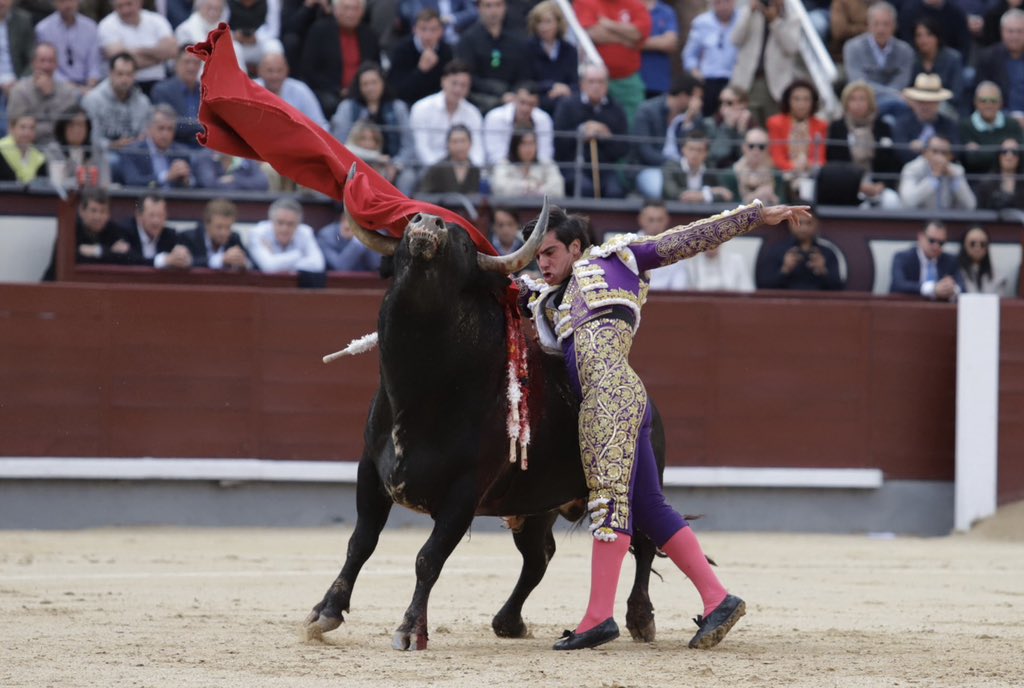 𝗗𝗜𝗥𝗘𝗖𝗧𝗢 𝗠𝗔𝗗𝗥𝗜𝗗 l Disposición absoluta y entrega de Jesús Enrique Colombo ante su primer oponente de Miura, en el que dejó un tercio de banderillas cargado de emoción que el tendido ovacionó con fuerza. La espada condicionó el resultado final. 

¡Vamos a por el sexto!