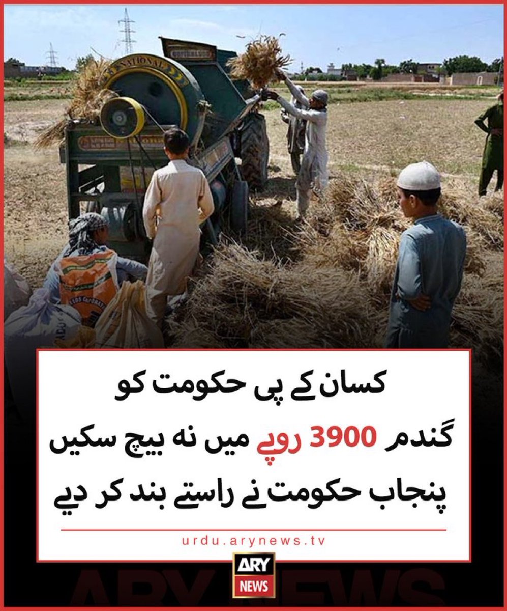 پنجاب حکومت نے اگت خود گندم نہیں خریدنی تو پھر کسان جس کو مرضی بیچے اس میں اعتراض کیسا اور کیوں