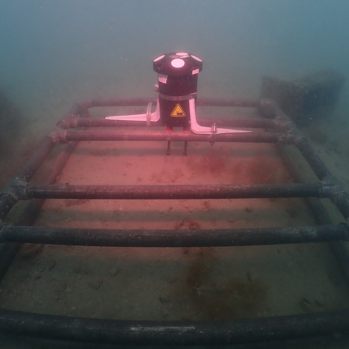 Dive in with FGCU Vester! Last month, they headed 30 feet under the water to survey and deploy at Kimberly's Reef. 🌊💙 #fgcu #water #waterresearch #swfl