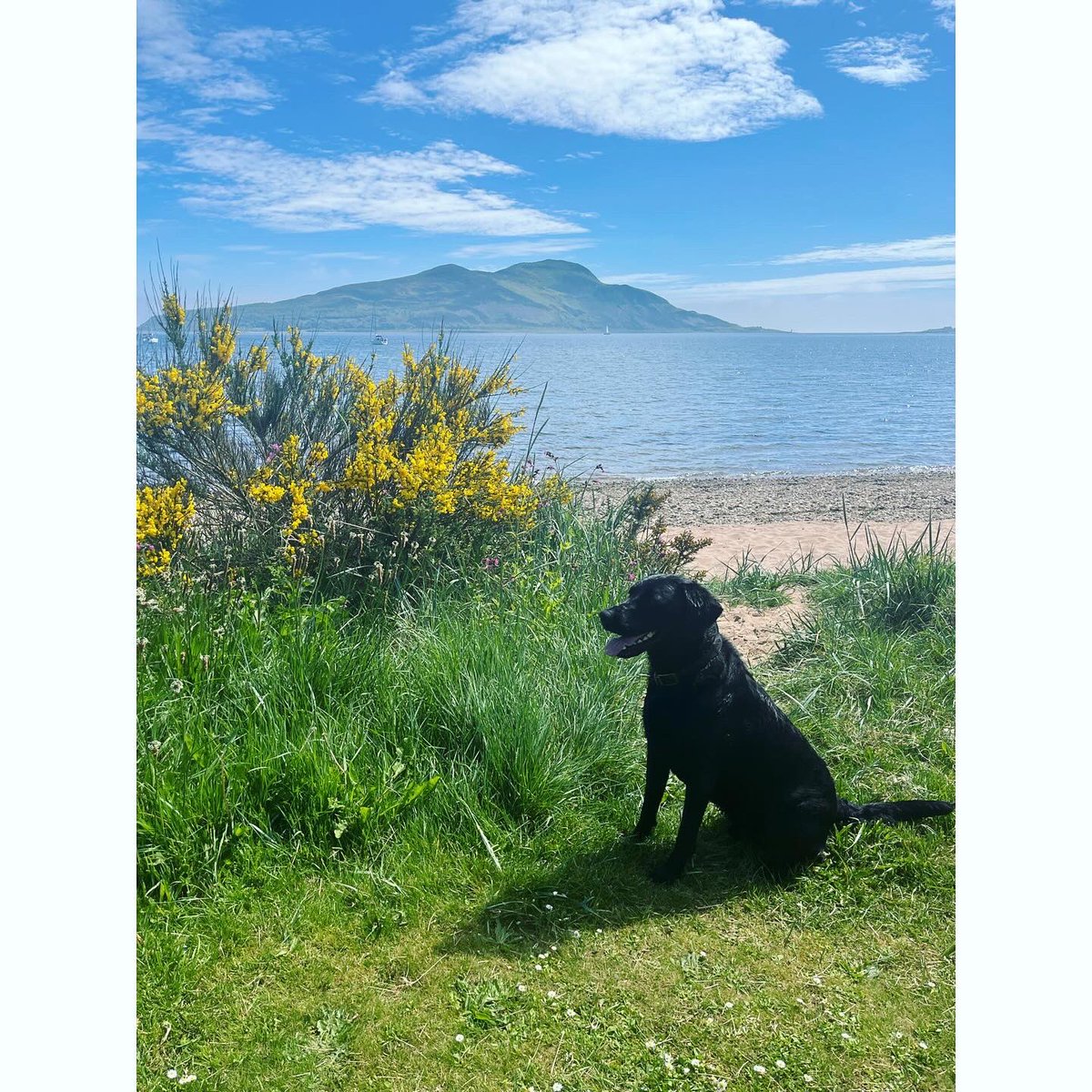 Day Trips to Arran ❤️