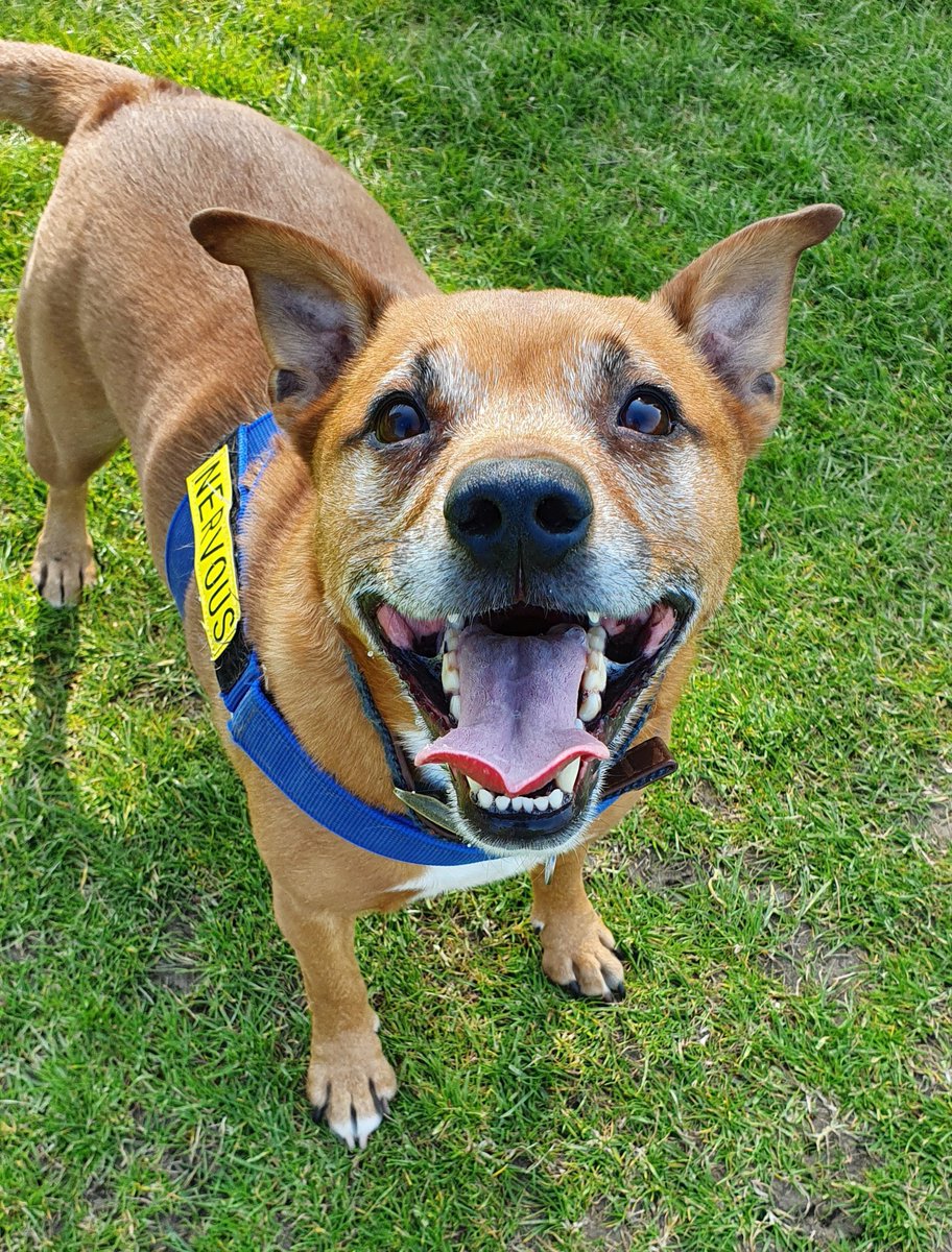 Flynn Bear and Mums tweet media