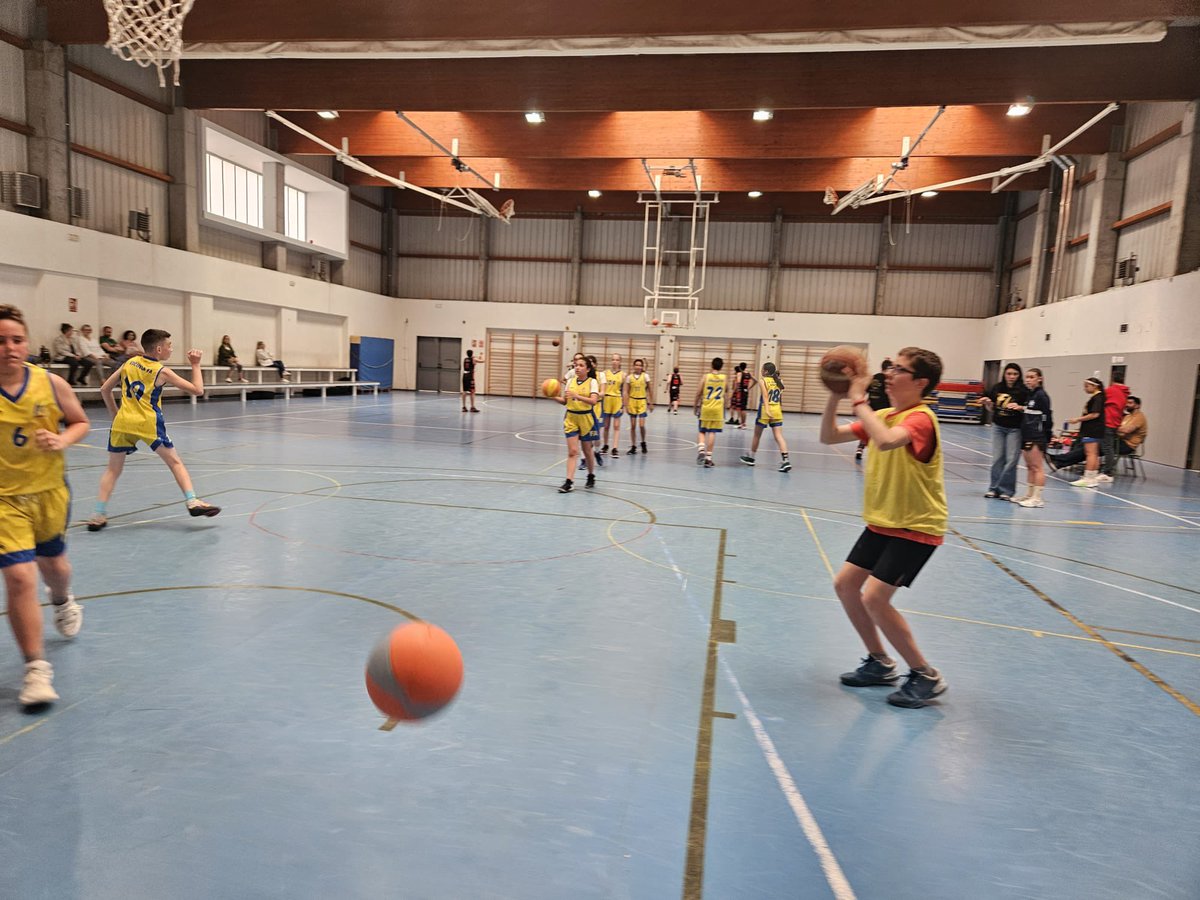 FEMENINO ALCORCÓN tweet media