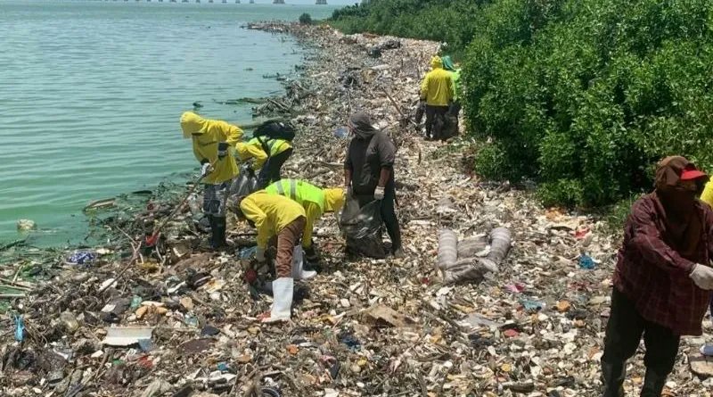 #Regiones || Suman 210.000 toneladas de desechos recolectados en nueve meses en el Lago de Maracaibo Este plan de limpieza de cañadas viene abordando 40 cañadas de los municipios Maracaibo y San Francisco.