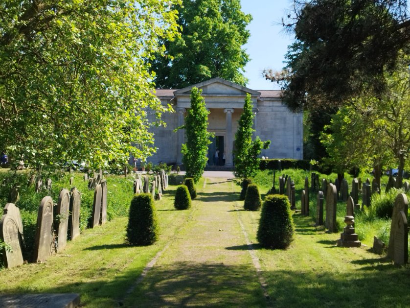 Michael Irons tweet media