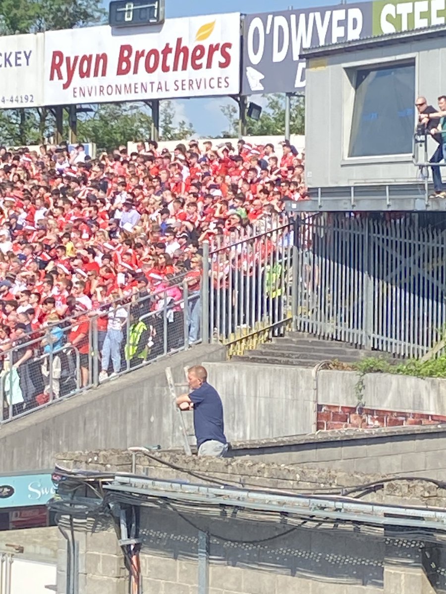 This fella has the right idea. Best ladder at the match