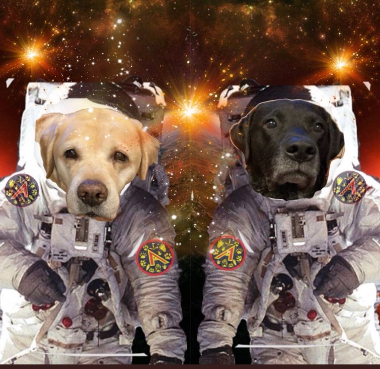 HO22 Henry and Olly ready #TheAviators