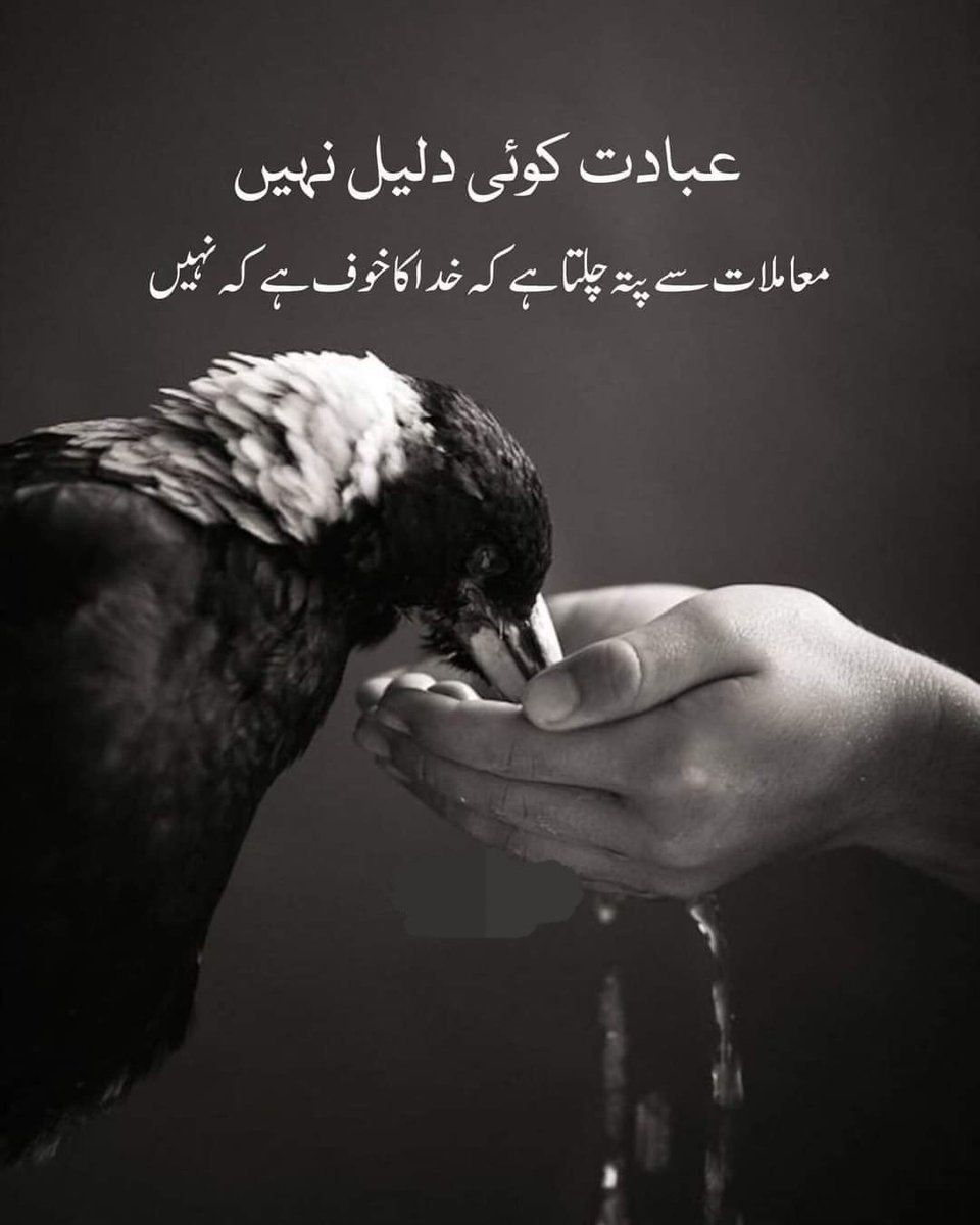 💯

#AuroraBorealis #northernlights #perletti