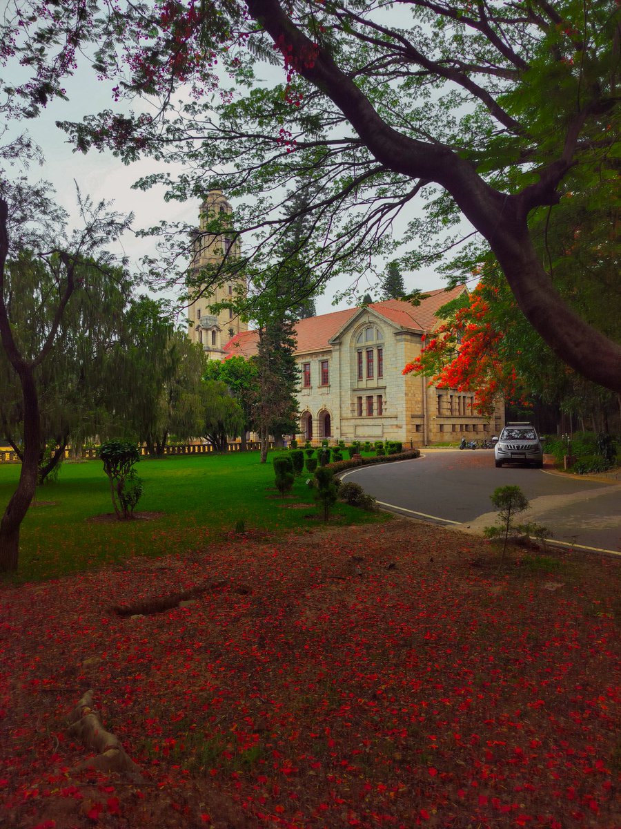 Red Carpet 🍁 
Gulmohar Marg 
19.05.2024
#iisc