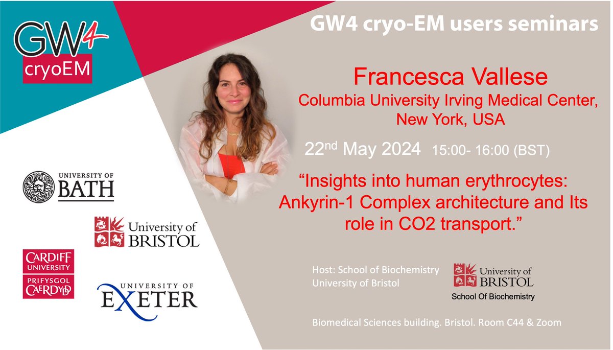 Time for another #GW4cryoEM seminar.
Dr. Francesca Vallese <a href="/Frances84469032/">Francesca Vallese</a> from Columbia University Irvin Medical Center, New York, will give a talk remotely via zoom to <a href="/BristolBiochem/">Bristol Biochemistry</a>
<a href="/BristolUni/">University of Bristol</a> <a href="/UniofBath/">University of Bath</a> <a href="/cardiffuni/">Cardiff University</a> <a href="/UniofExeter/">University of Exeter</a>
Don't miss this opportunity!