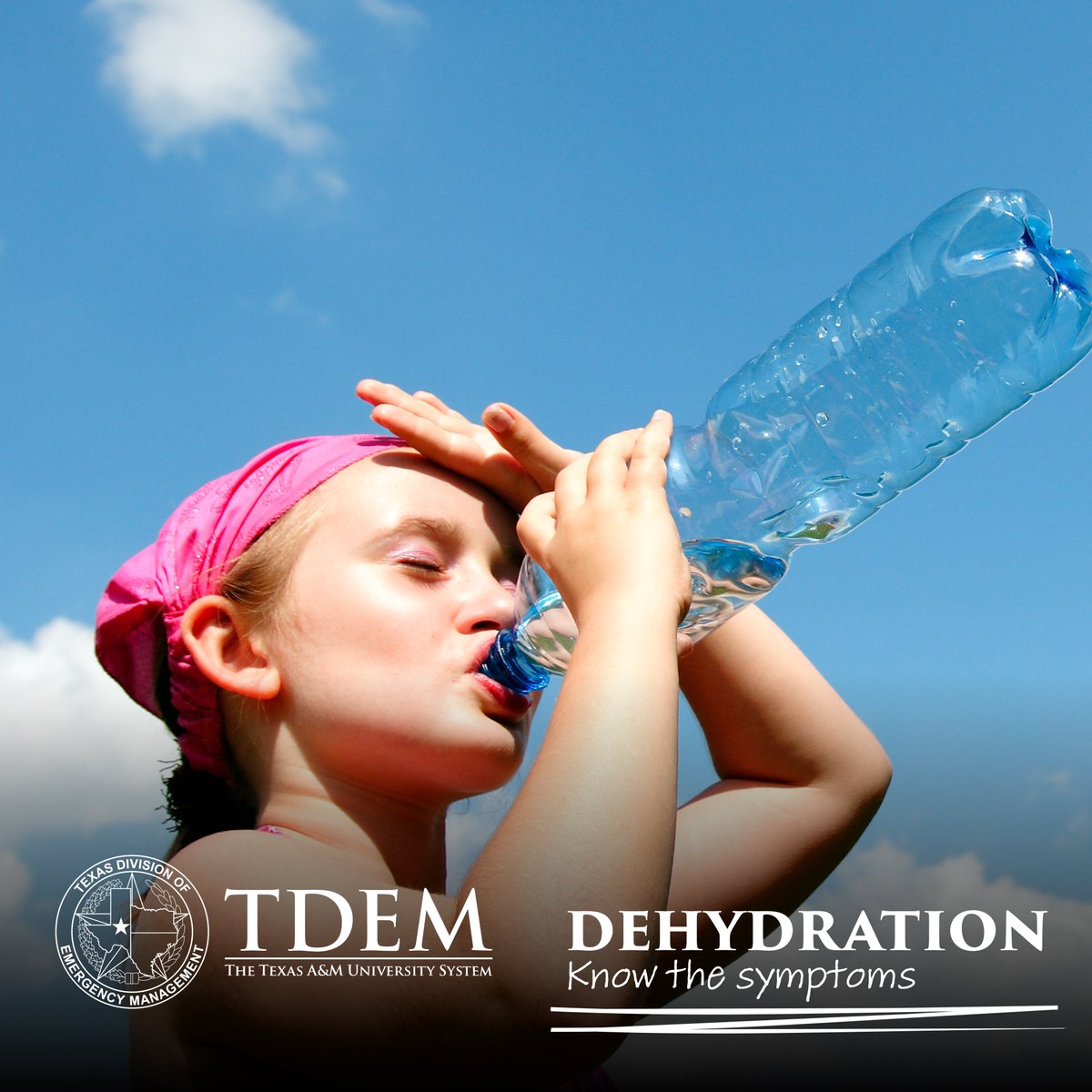 ☀️As TX warms up this week, be sure to know the signs of heat-related illness:

🌡️High body temperature
🥵Profusely sweating
💤Fatigue & dizziness

💧Drink water to stay hydrated!

More Heat Safety Tips: ready.gov/heat

#BeatTheHeat